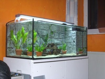 Hvordan bygge en multilevel akvarium. La oss bruke figurer her når du oppretter en multilevel fisk tank.