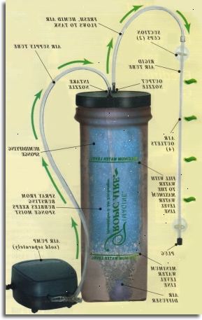 Luftpumper er en form for akvarium pumpen. Oksygenering.