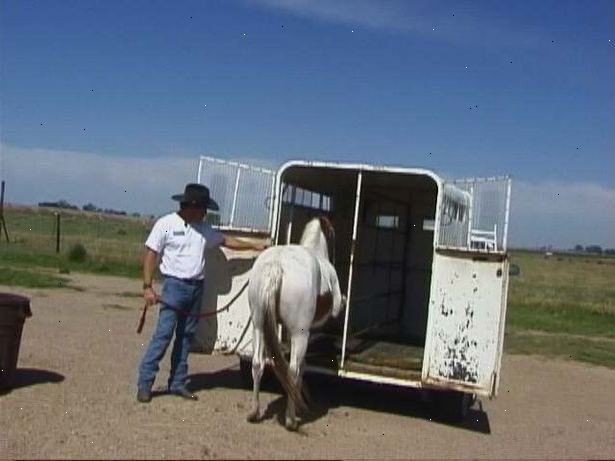 Hvordan trailer en hest trygt. Utfør alltid trailer sikkerhetskontroll før lasting hesten i hengeren.