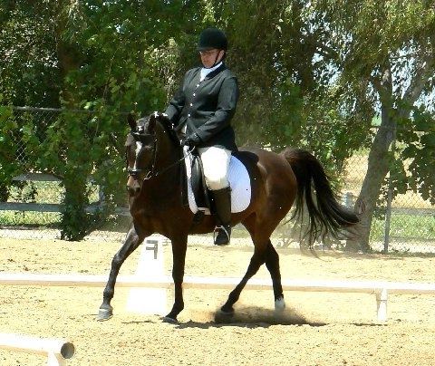 Trening av hest i klassisk dressur form er nøkkelen. Svært spesifikke kjole og tack er slitt for dressur konkurranse.
