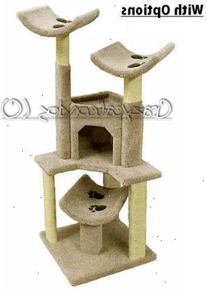Building katt condos og hus: møbler planer. Fest to av polene til basen med en lang bolt og bruke vinkelparenteser på alle sider av polene for å gi stabilitet.